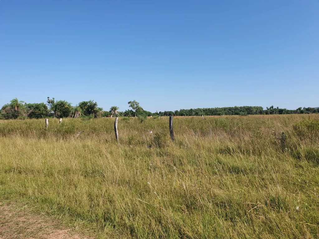 Vendo Terreno en Ypacarai km 43 a 3 cuadras de la Ruta Principal — foto 2