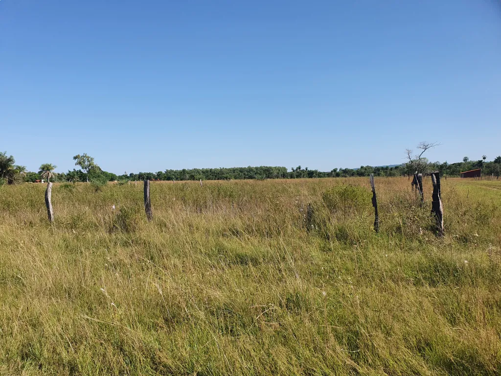 Vendo Terreno en Ypacarai km 43 a 3 cuadras de la Ruta Principal — foto 3