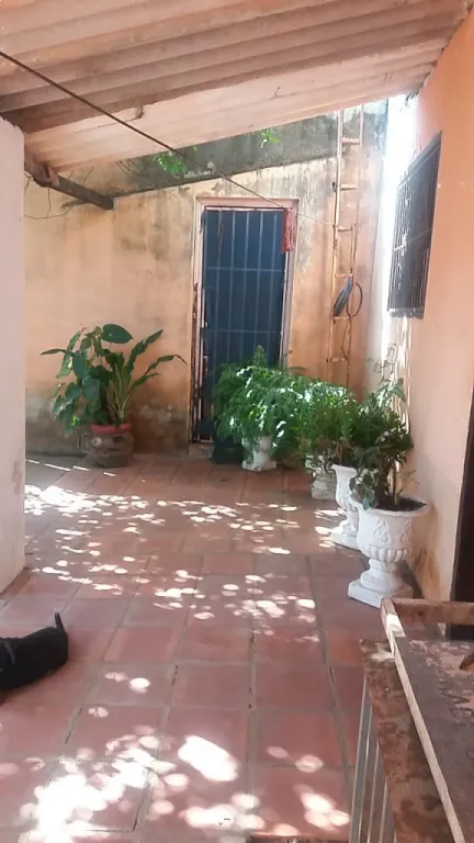 Vendo Casa con mucha Vegetación, sin intermediario — foto 2