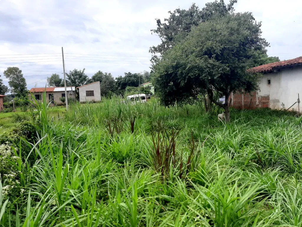 TERRENO LUQUE. MORA CUE — foto 2