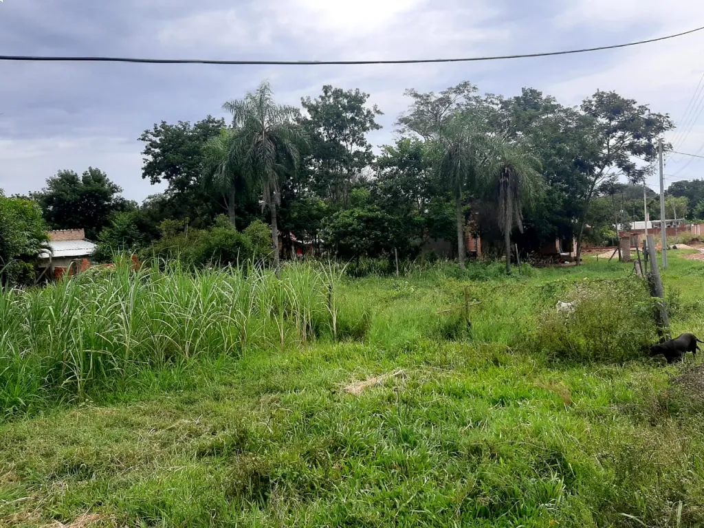 TERRENO LUQUE. MORA CUE — foto 3