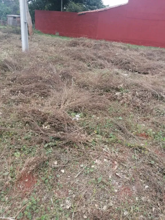 Vendo terreno en Aregua 15×30m. Titulado — foto 2