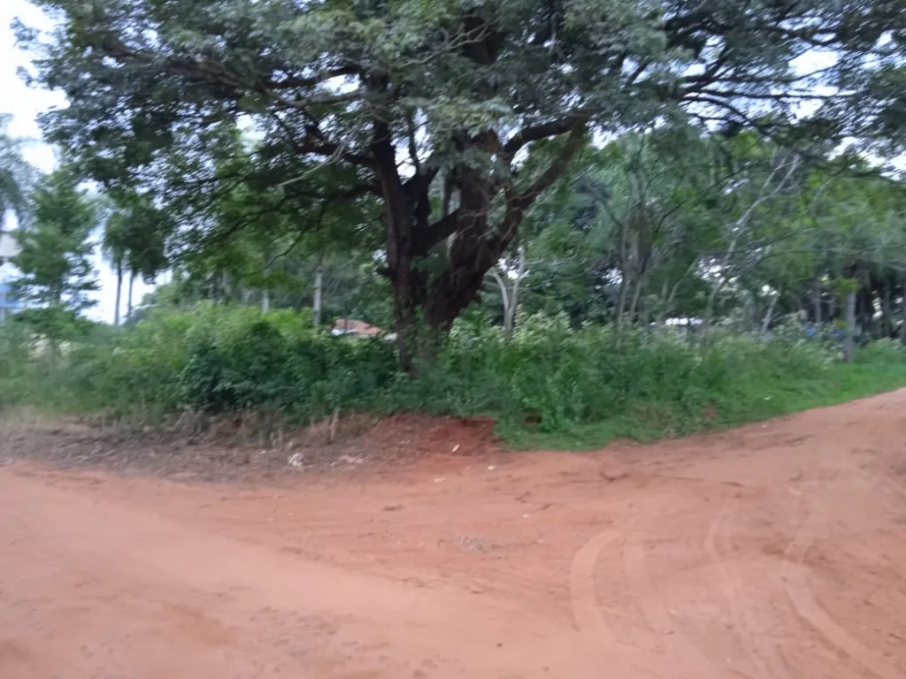 Vendo Terreno Aregua — foto 2