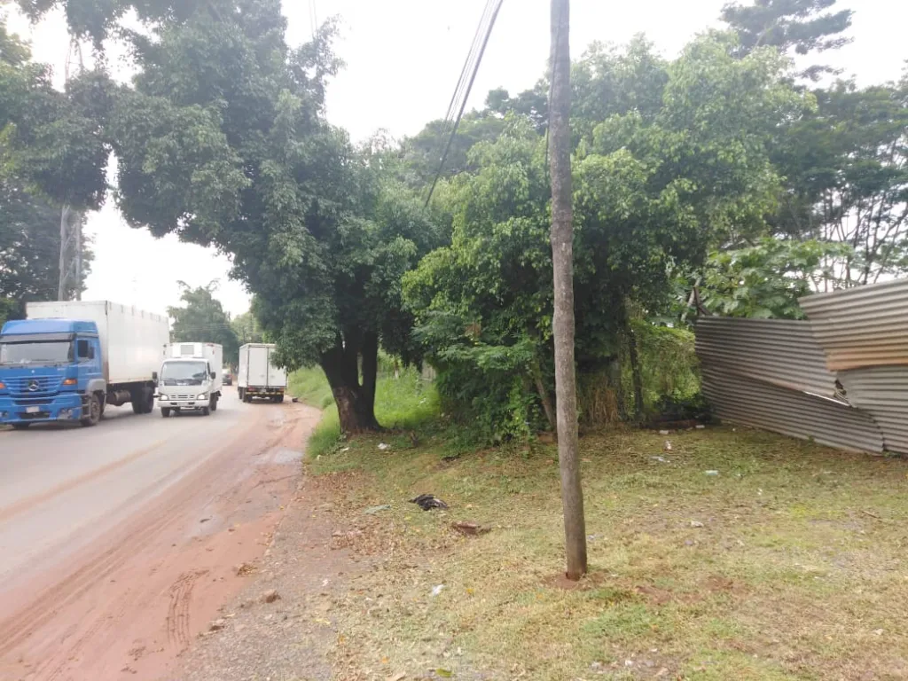 Imponente Propiedad En Venta Sobre Avda. Avelino Martínez — foto 3