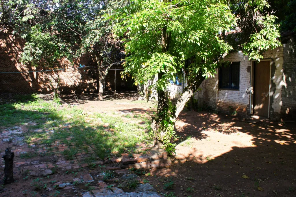Atención Inversionistas vendo Terreno de superficie 700m2 sobre Avda. Félix Bogado — foto 3