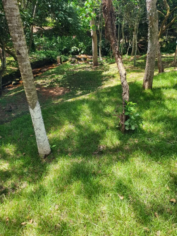 VENDO HERMOSA PROPIEDAD CON ARROYO DE 67 HAS EN ESCOBAR — foto 3