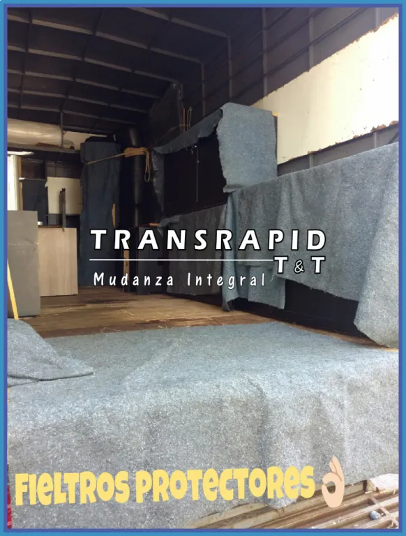 ***TRANSRAPID T&T*** SERVICIO DE FLETES, MUDANZAS Y LOGISTICA.. — foto 2
