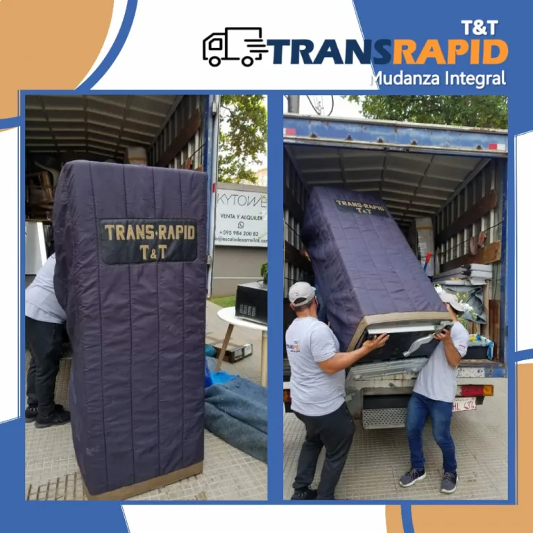 ***TRANSRAPID T&T*** SERVICIO DE FLETES, MUDANZAS Y LOGISTICA.. — foto 3