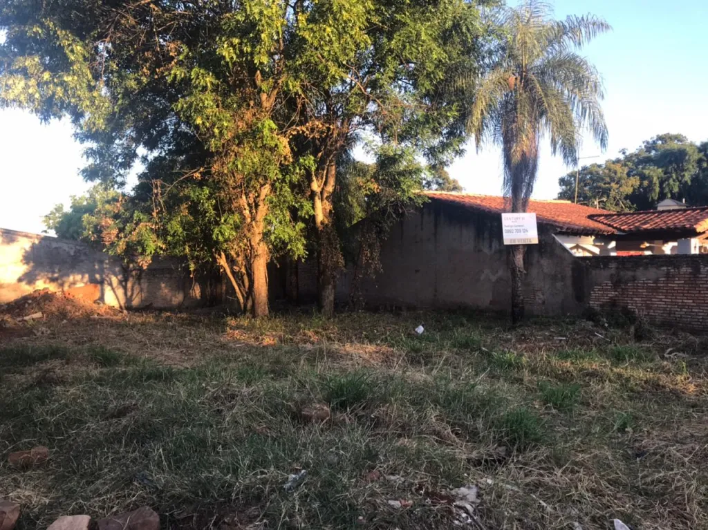 VENDO TERRENO EN LUQUE — foto 3