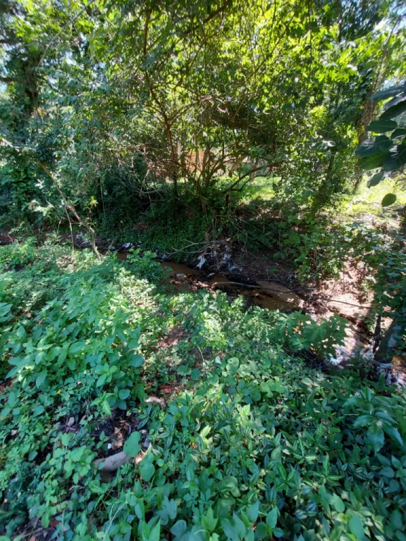 Terreno en vent en asan Bernardino — foto 2