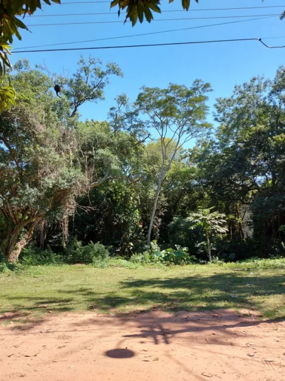 Terreno en vent en asan Bernardino — foto 3