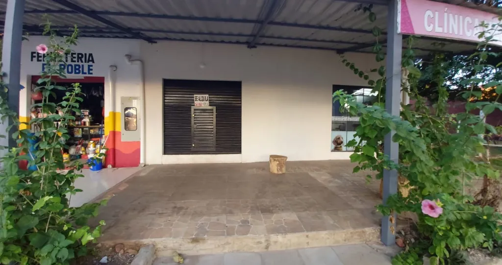 SALON COMERCIAL — foto 2