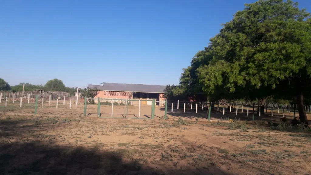 CAMPO 1.400 HECTAREAS FORTIN CABALLERO — foto 3