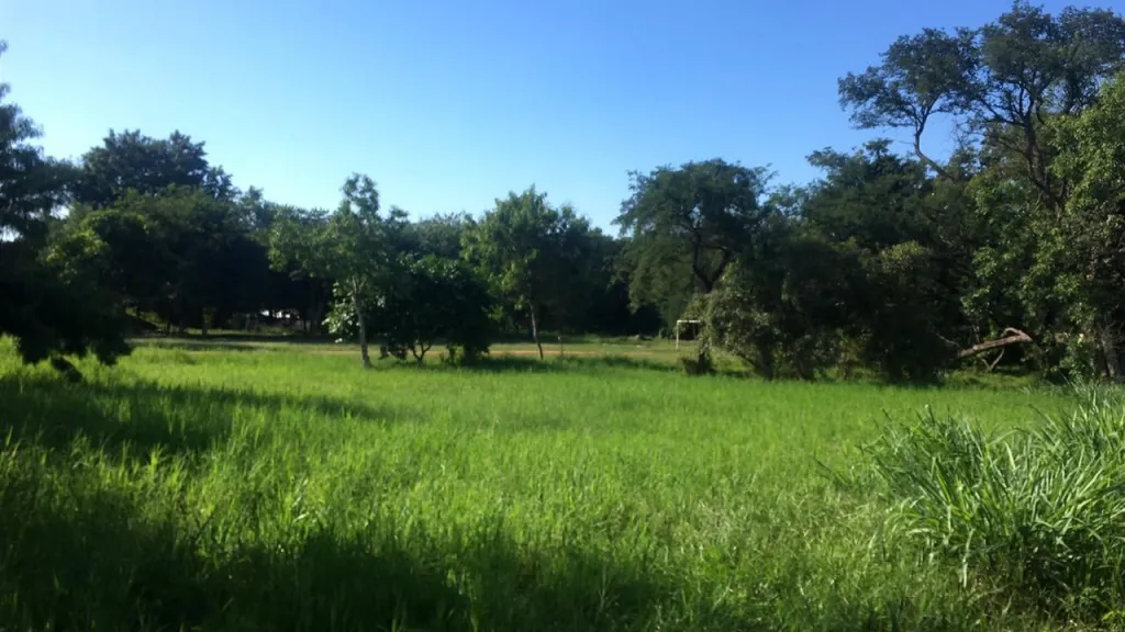 VENDO PROPIEDAD EN SAN LORENZO COD 3576 — foto 2