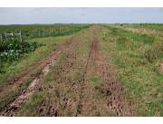 VENDO ESTANCIA DE 472 HECTAREAS EN JUAN DE MENA