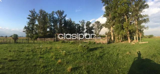 Propiedad Agrícola-Ganadera en Villa Oliva, Ñeembucú — foto 2