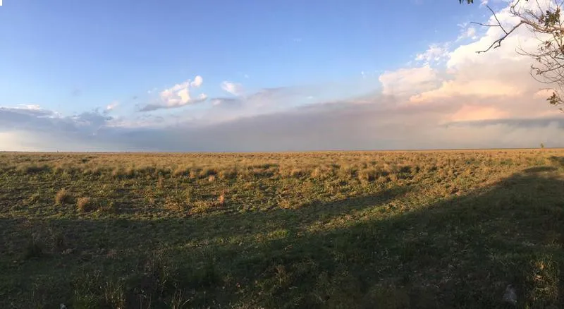 Propiedad Agrícola-Ganadera en Villa Oliva, Ñeembucú — foto 3