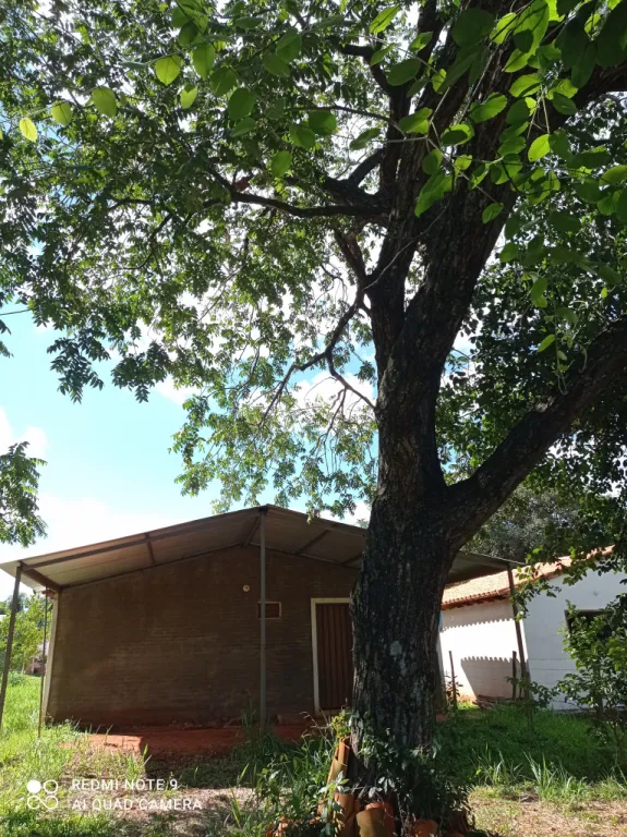 VENDO HERMOSA CASA — foto 2
