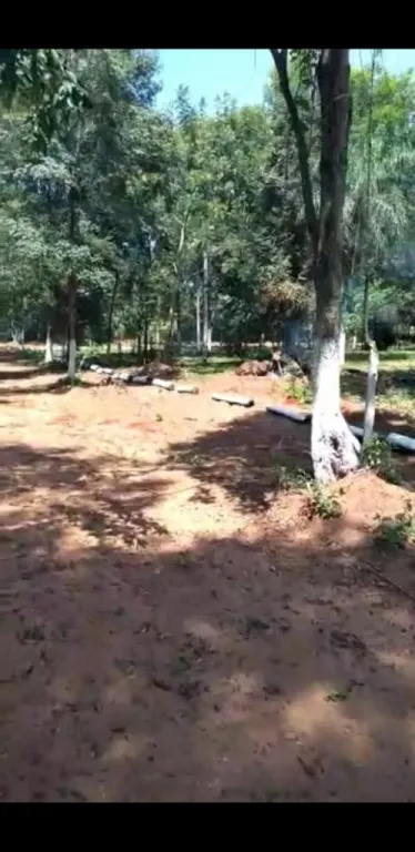 VENDO 14 TERRENOS EN CAPIATA KM 23 RUTA 2 — foto 2