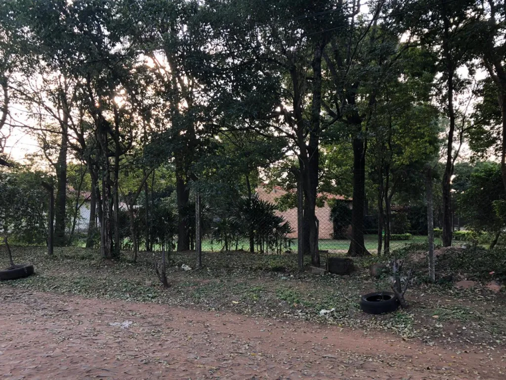 Terreno en lambare — foto 2