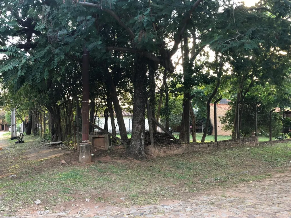 Terreno en lambare — foto 3