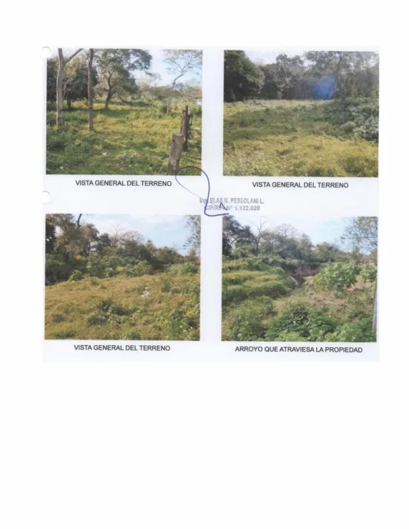 Vendo Terreno Isla Zárate – Luque — foto 3