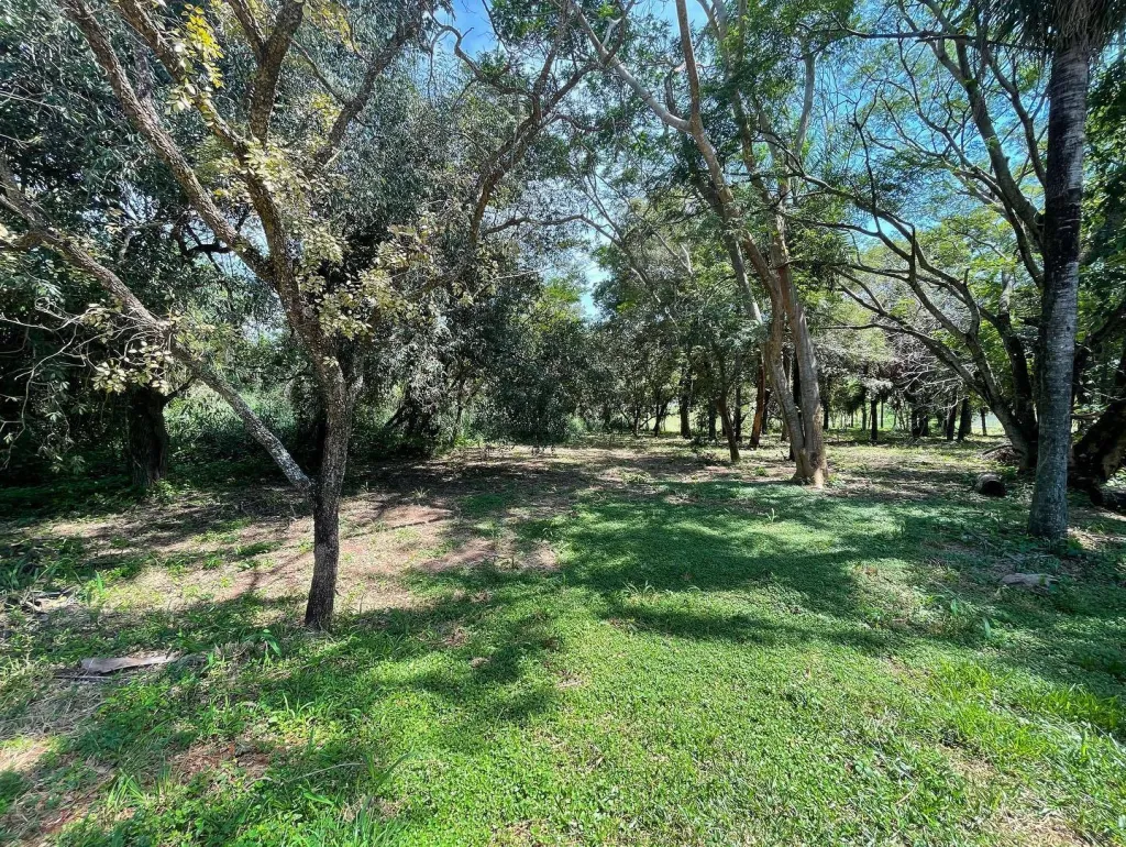 EN VENTA TERRENO SOBRE EL RIACHO SAN FRANCISCO - Surubi’i — foto 3