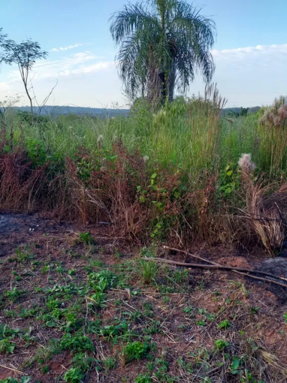 vendo terreno Ypane fraccion jardin de Oro 2 — foto 2