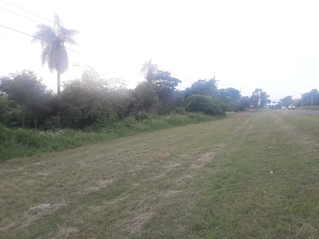 VENDO HERMOSO TERRENO SOBRE RUTA — foto 2