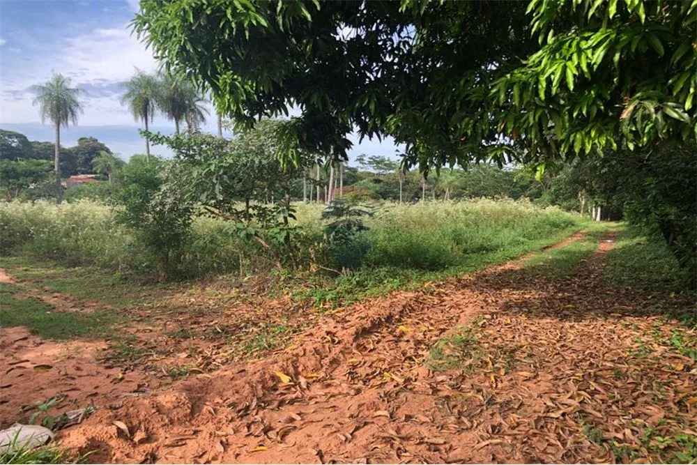 Gran Oportunidad en Venta Terreno en Kokue Guazú 700,000 USD — foto 2
