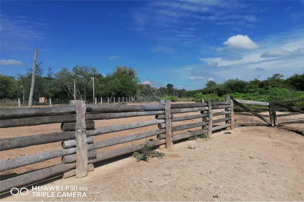 Estancia en Venta (T.P.) 4,800,000,000 ₲ — foto 2