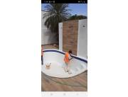 Pinturas texturas humedad