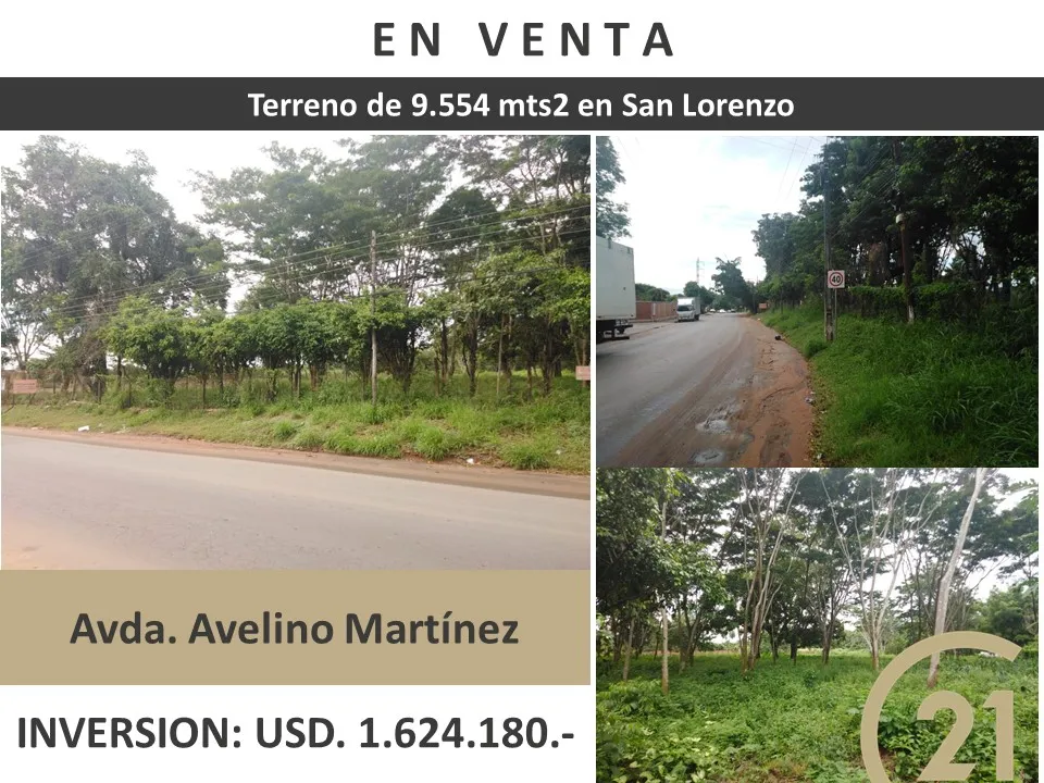 En Venta importante terreno de 9.554 mts2 en San Lorenzo!! sobre Avelino Martinez — foto 3