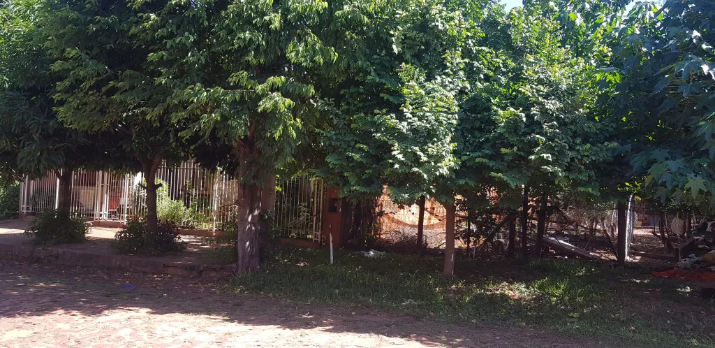 VENDO TERRENO EN CAPIATA 12x30 a 3 cuadras de Ruta 2 — foto 3