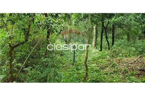 Vendo terreno en Ypacarai, portal de San Bernardino l — foto 3