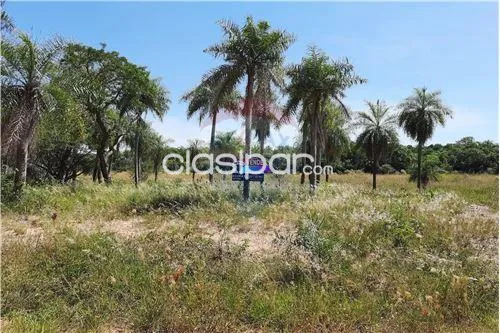 Vendo terreno en Urbanización El Cortijo (San Bernardino) — foto 3