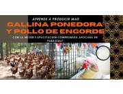 EDUCAT - E- BOOK COMPLETO GALLINAS PONEDORAS Y POLLOS DE ENGORDE