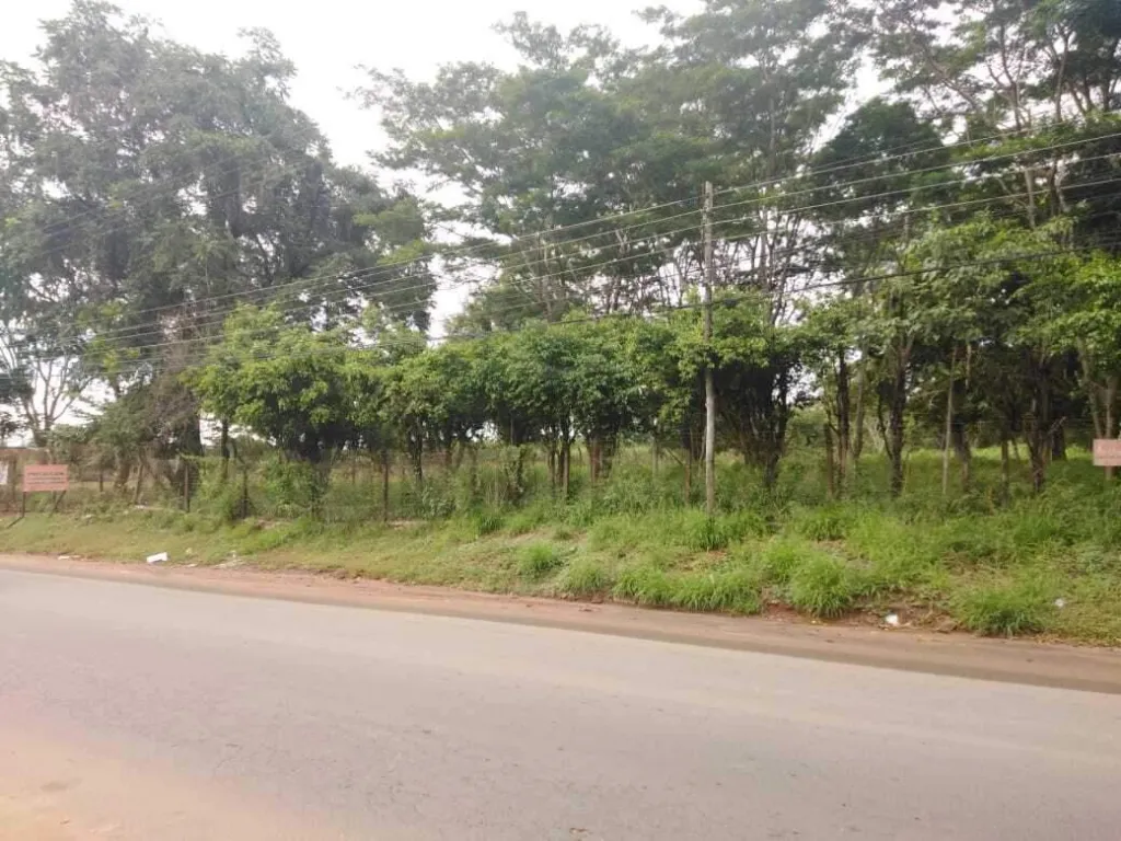 Imponente terreno en venta Sobre Avelino Martínez. — foto 3