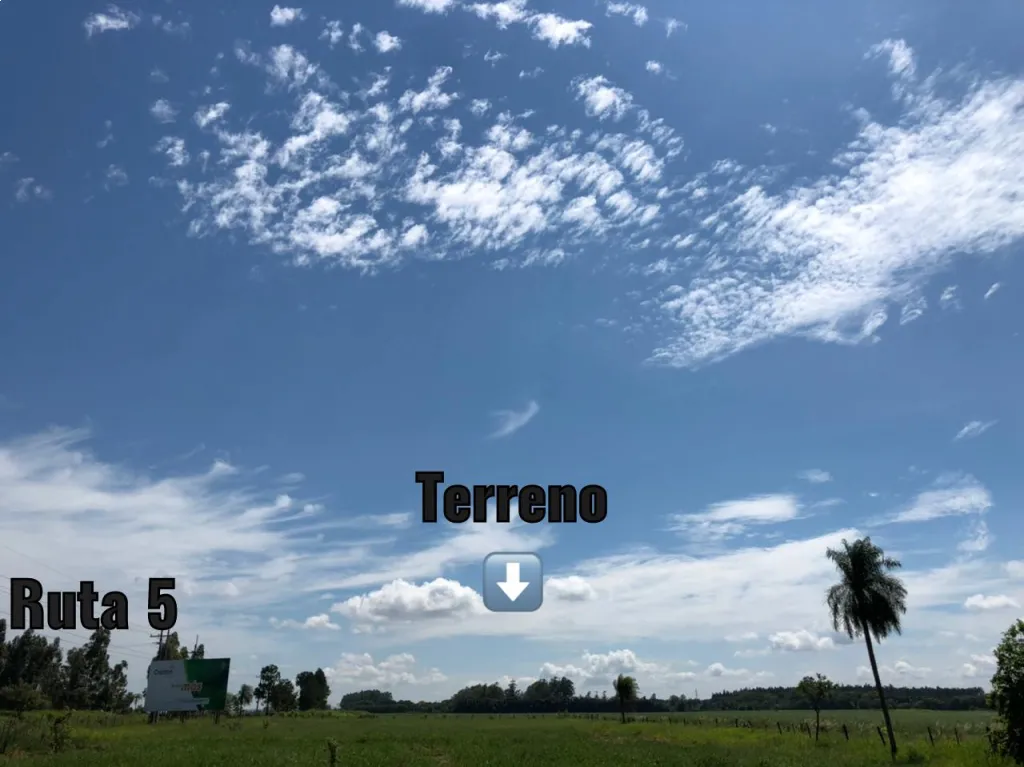 Vendo terreno 100x60 sobre RUTA 5 en PEDRO JUAN CABALLERO — foto 3
