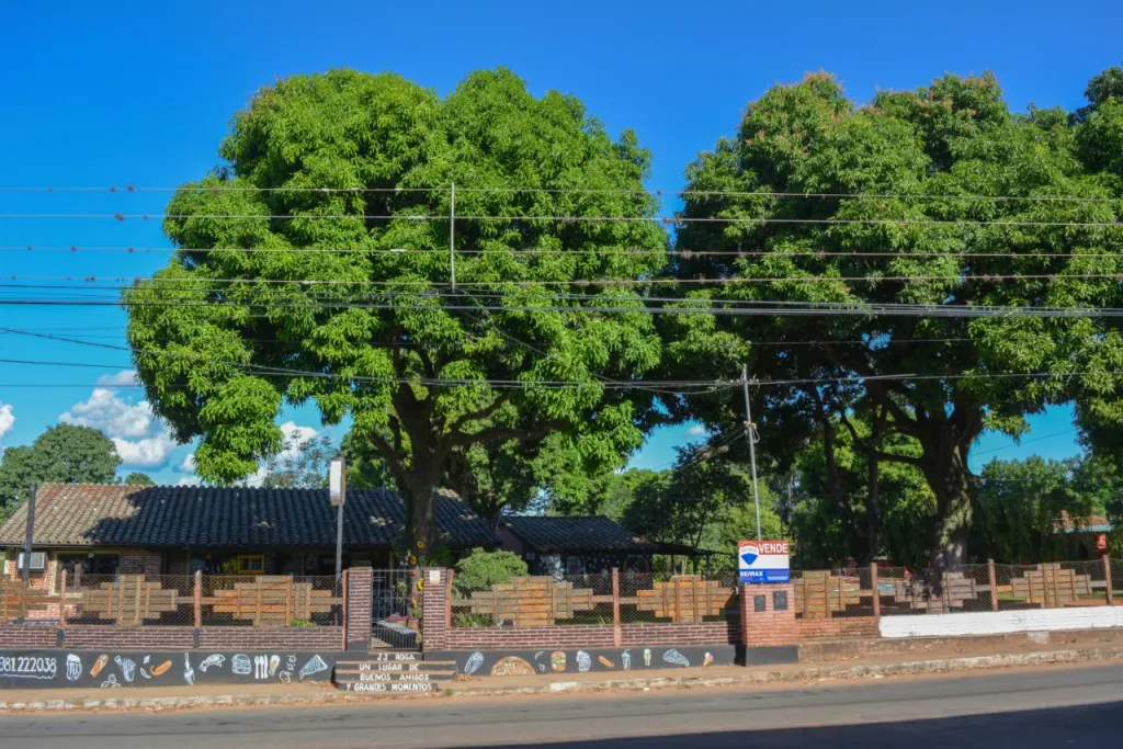 VENDO TERRENO P DESARROLLO INMOBILIARIO - CAPIATÁ — foto 3