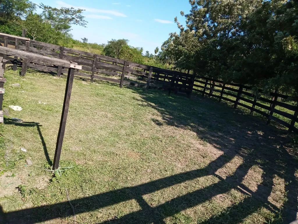 ESTANCIA GRANJA GANADERA — foto 2