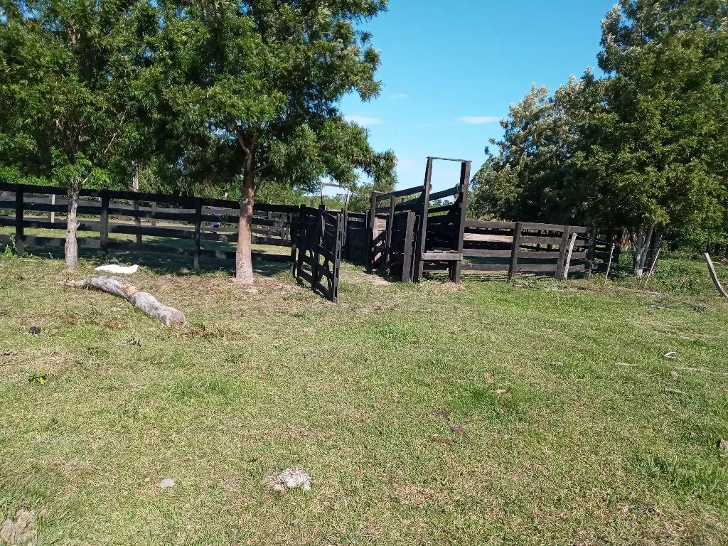 ESTANCIA GRANJA GANADERA — foto 3