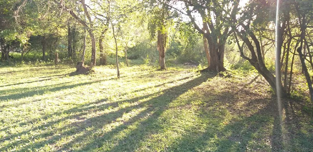 Vendo 4 terrenos juntos o separados — foto 2
