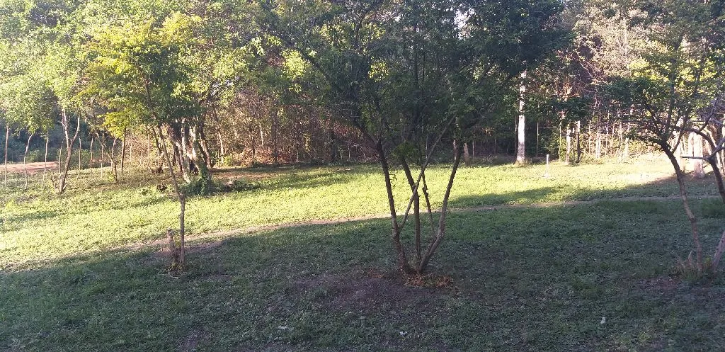 Vendo 4 terrenos juntos o separados — foto 3