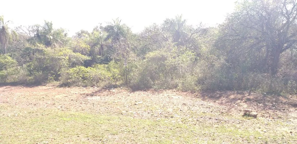 Vendo 3880 m2 — foto 3