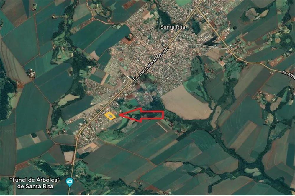 Vendo planta industrial en Santa Rita, Alto Paraná: superficie de terreno 25000 m2 — foto 3