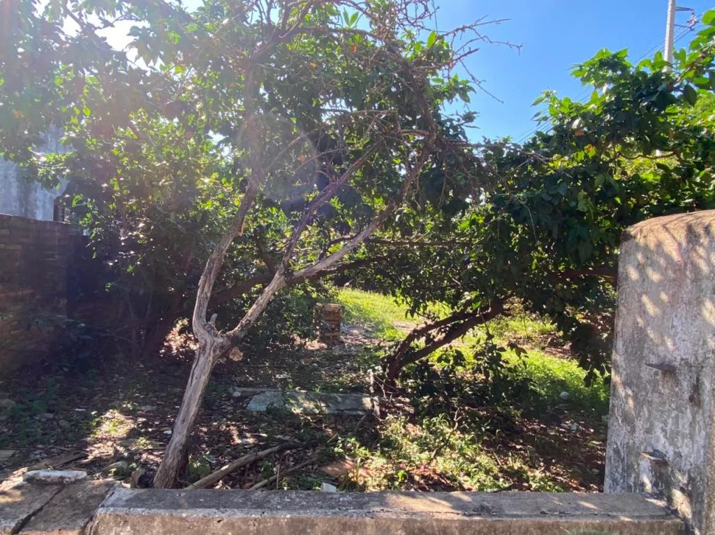 VENDO en OFERTA TERRENO EN ESQUINA — foto 3