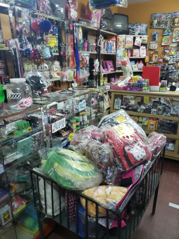 Vendo Librería Montada con todos los Equipamientos Frente a 2 colegios! — foto 3