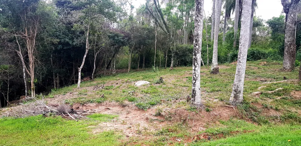 Hermoso terreno con acceso a arroyo en Tobati — foto 2