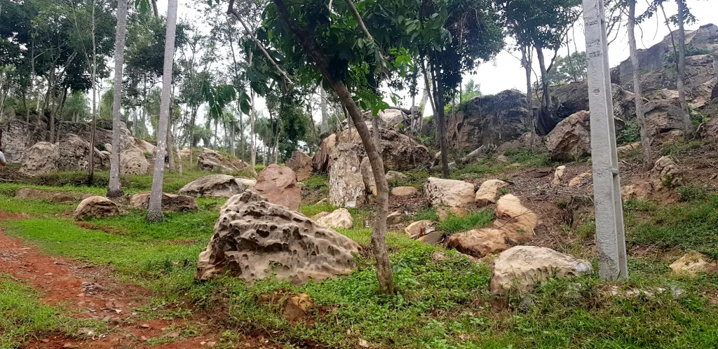 Hermoso terreno con acceso a arroyo en Tobati — foto 3